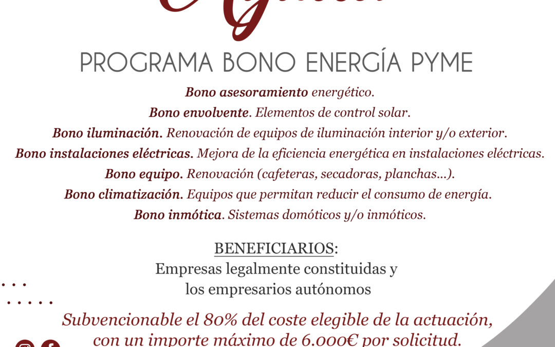 Subvención Energía Pyme