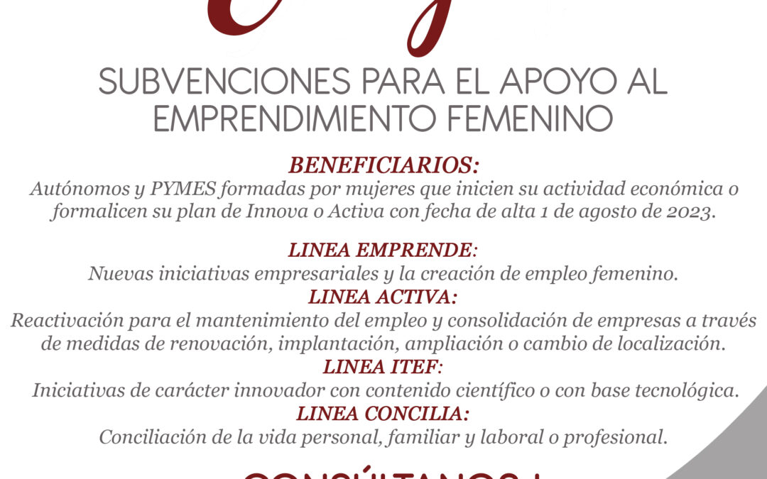 Subvención para el apoyo al Emprendimiento Femenino – EMEGA