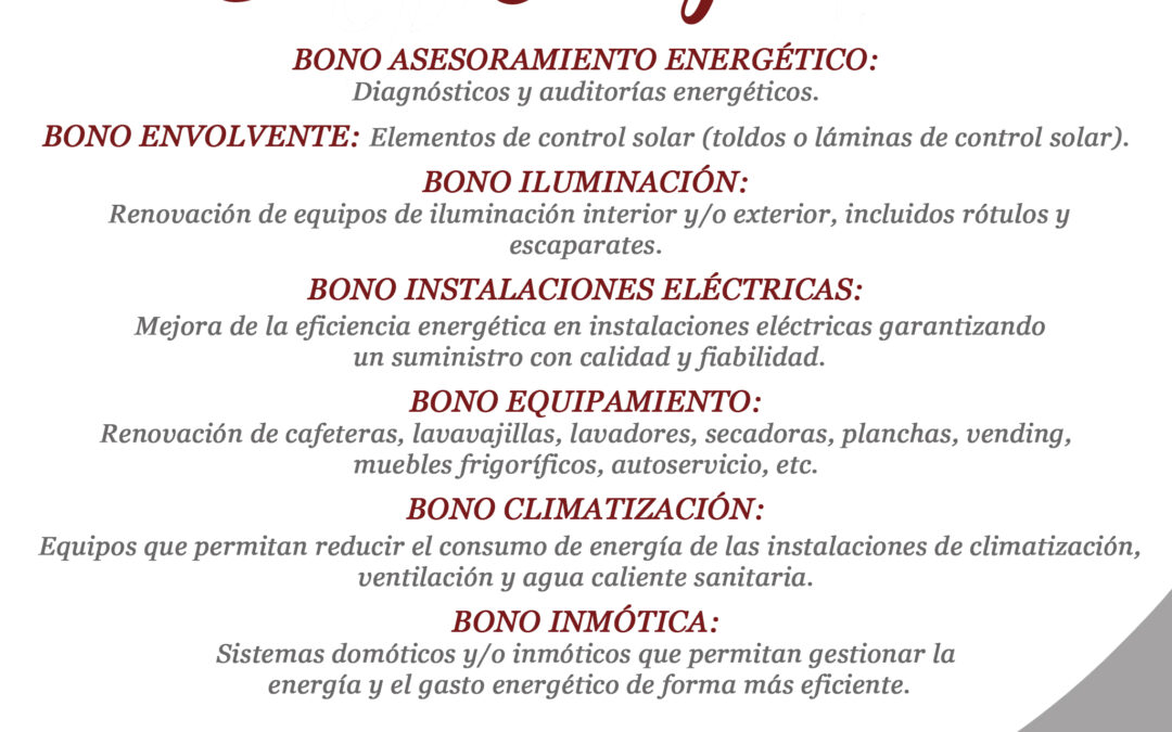 Subvención Bono Energía Pyme