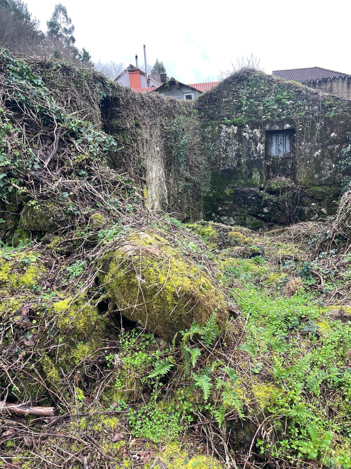 Finca parte urbanizable
