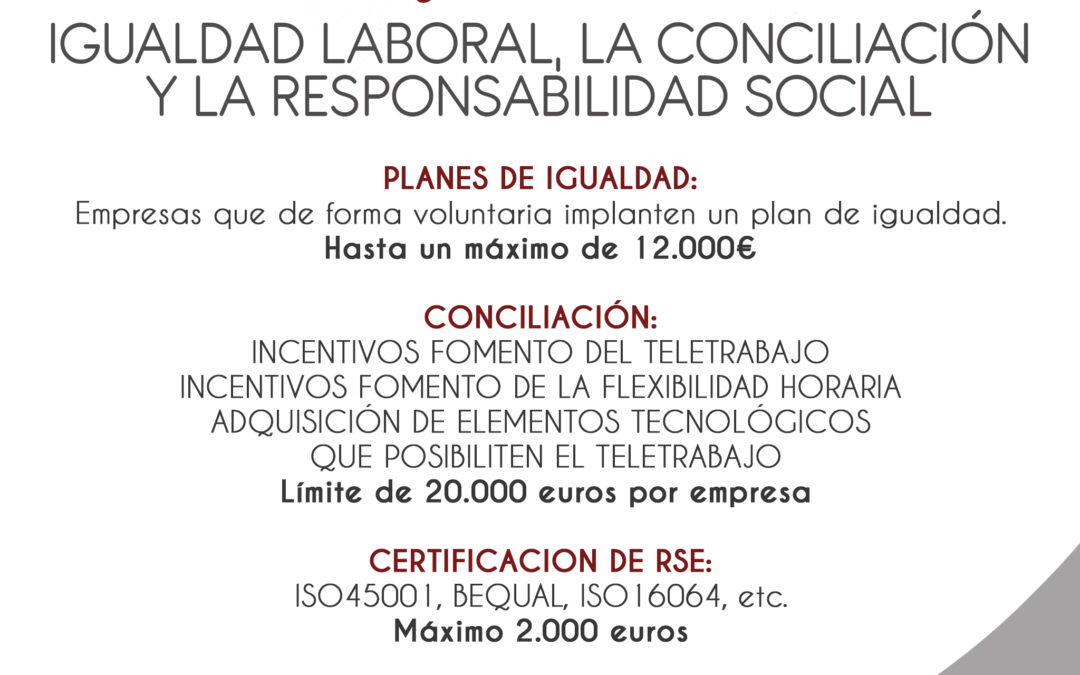Ayuda «Igualdad Laboral, la Conciliación y la Responsabilidad Social
